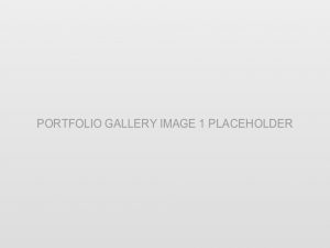 Portfolio Gallery Image 1 Placeholder